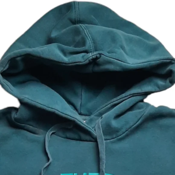 The North Face Blue Graphic Pull-over Hoodie SZ L - Picture 4 of 11